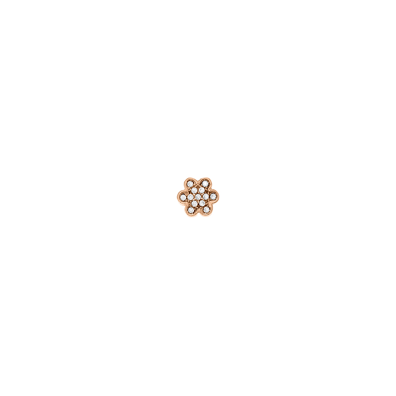 bc5e81a8acfd464f90db27e57b59510e