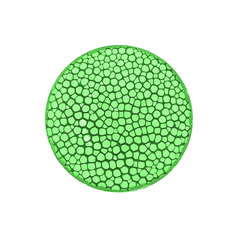 0044a1a0ff0241cbb02c5e032385d213
