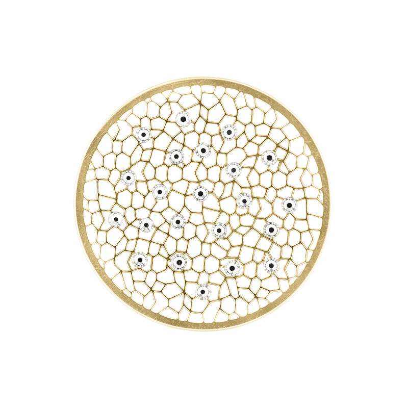 d81930f2f1314da6a4eb4e4dd9202925
